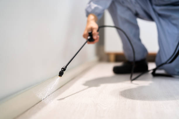 Professional exterminator conducting IPM assessment in Caseyville
