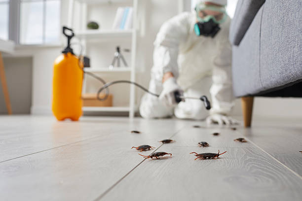 Commercial Kitchen Cockroach Control in Caseyville
